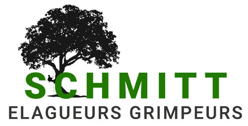 SCHMITT